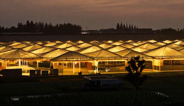 图标与插画设计在网页界面中的场景化应用分析