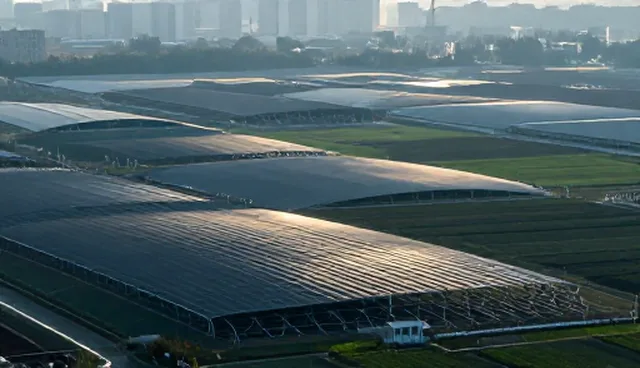 大连网站建设中设计原则的五大检查要点