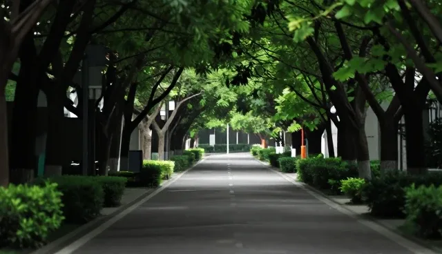 益阳网站制作公司如何通过VI设计提升APP界面