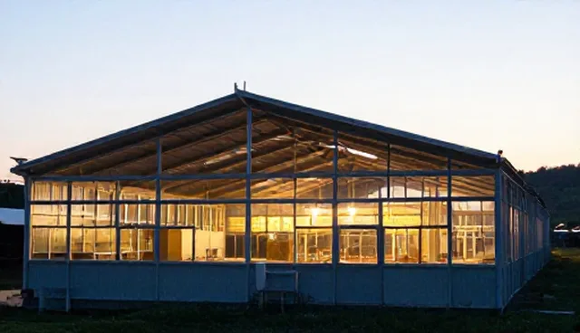 岳阳网站建设中图标插画的选择影响用户体验