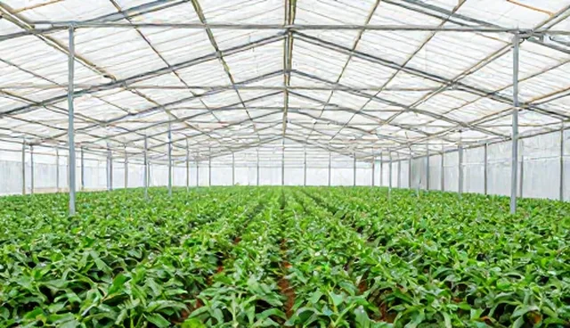 崇左网站建设中性能优化的适用条件与选择依据